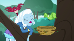 Size: 1280x720 | Tagged: safe, screencap, character:trixie, species:bird, episode:a little birdie told me, g4, my little pony:equestria girls, bird nest, nest, solo, tree, tree branch