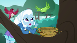 Size: 1280x720 | Tagged: safe, screencap, character:trixie, species:bird, episode:a little birdie told me, g4, my little pony:equestria girls, bird nest, nest, solo, tree, tree branch