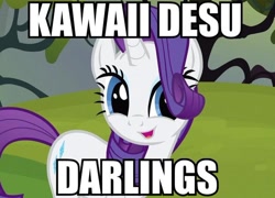 Size: 700x505 | Tagged: safe, screencap, character:rarity, species:pony, species:unicorn, episode:spike at your service, g4, my little pony: friendship is magic, caption, cute, female, mare
