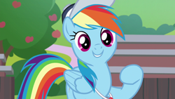 Size: 1920x1080 | Tagged: safe, screencap, character:rainbow dash, species:pegasus, species:pony, episode:2-4-6 greaaat, cute, dashabetes, female, happy, mare, raised hoof, smiling, solo