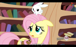 Size: 1024x640 | Tagged: safe, screencap, character:angel bunny, character:fluttershy, episode:just for sidekicks, g4, my little pony: friendship is magic, meme, purplepwnguin, youtube caption