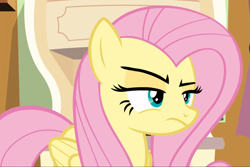 Size: 1401x938 | Tagged: safe, screencap, character:fluttershy, species:pegasus, species:pony, episode:flutter brutter, g4, my little pony: friendship is magic, cropped, female, fluttershy is not amused, mare, narrowed eyes, solo, unamused