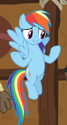 Size: 458x849 | Tagged: safe, screencap, character:rainbow dash, species:pegasus, species:pony, episode:yakity-sax, g4, my little pony: friendship is magic, cropped, female, flying, mare, solo, spread wings, wings