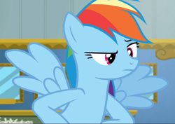 Size: 1326x939 | Tagged: safe, screencap, character:rainbow dash, species:pegasus, species:pony, episode:top bolt, g4, my little pony: friendship is magic, cropped, female, flying, glare, mare, rainbow dash is not amused, raised eyebrow, solo, spread wings, unamused, wings