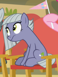 Size: 454x595 | Tagged: safe, screencap, character:limestone pie, species:earth pony, species:pony, episode:rock solid friendship, g4, my little pony: friendship is magic, chair, cropped, female, flag, mare, sitting, solo, wavy mouth