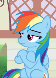 Size: 571x784 | Tagged: safe, screencap, character:rainbow dash, species:pegasus, species:pony, episode:daring done, cropped, crossed hooves, female, mare, rainbow dash is not amused, sitting, solo, unamused