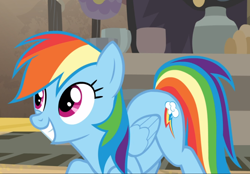 Size: 1184x822 | Tagged: safe, screencap, character:rainbow dash, species:pegasus, species:pony, episode:daring done, cropped, crouching, cute, dashabetes, smiling, solo