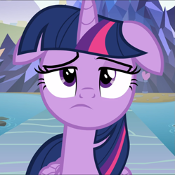 Size: 935x939 | Tagged: safe, screencap, character:twilight sparkle, character:twilight sparkle (alicorn), species:alicorn, species:pony, episode:school daze, g4, my little pony: friendship is magic, close-up, cropped, female, floppy ears, folded wings, frown, mare, pond, pouting, raised eyebrow, sad, solo, wings