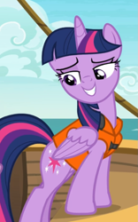 Size: 567x911 | Tagged: safe, screencap, character:twilight sparkle, character:twilight sparkle (alicorn), species:alicorn, species:pony, episode:p.p.o.v. (pony point of view), g4, my little pony: friendship is magic, cropped, lidded eyes, lifejacket, smiling, smug, smuglight sparkle, solo