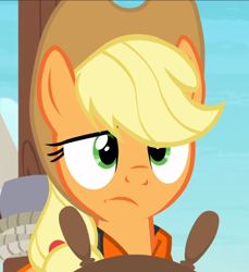 Size: 860x938 | Tagged: safe, screencap, character:applejack, species:earth pony, species:pony, episode:p.p.o.v. (pony point of view), g4, my little pony: friendship is magic, applejack is not amused, close-up, cropped, dimple, female, green eyes, lifejacket, solo, unamused