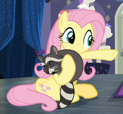 Size: 742x692 | Tagged: safe, screencap, character:fluttershy, species:pegasus, species:pony, episode:fake it 'til you make it, animal, cropped, cute, female, mare, raccoon, raised hoof, shyabetes, sitting, smiling, smoky jr.
