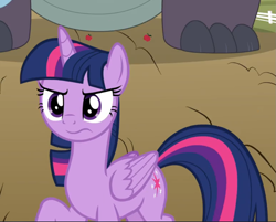 Size: 1001x804 | Tagged: safe, screencap, character:twilight sparkle, character:twilight sparkle (alicorn), species:alicorn, species:pony, episode:between dark and dawn, g4, my little pony: friendship is magic, cropped, determined, female, mare, raised hoof, solo, wavy mouth