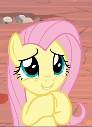 Size: 634x872 | Tagged: safe, screencap, character:fluttershy, species:pegasus, species:pony, episode:sweet and smoky, g4, my little pony: friendship is magic, cropped, cute, female, hooves together, mare, shyabetes, smiling, solo
