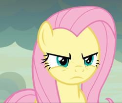 Size: 1119x938 | Tagged: safe, screencap, character:fluttershy, species:pegasus, species:pony, episode:sweet and smoky, g4, my little pony: friendship is magic, angry, badass, cropped, female, flutterbadass, fluttershy is not amused, glare, mare, solo, unamused