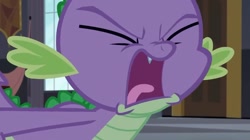 Size: 1024x573 | Tagged: safe, screencap, character:spike, species:dragon, episode:princess spike, g4, my little pony: friendship is magic, angry, breakdown, canterlot castle, yelling