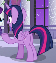 Size: 375x418 | Tagged: safe, screencap, character:rarity, character:twilight sparkle, character:twilight sparkle (alicorn), species:alicorn, species:pony, episode:the summer sun setback, g4, my little pony: friendship is magic, butt, cropped, plot