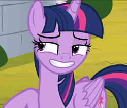 Size: 1101x937 | Tagged: safe, screencap, character:twilight sparkle, character:twilight sparkle (alicorn), species:alicorn, species:pony, episode:sparkle's seven, g4, my little pony: friendship is magic, cropped, lidded eyes, smiling, smirk, solo