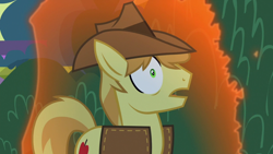 Size: 1920x1080 | Tagged: safe, screencap, character:braeburn, species:earth pony, species:pony, episode:the summer sun setback, g4, my little pony: friendship is magic, bush, canterlot, clothing, cowboy hat, hat, implied tirek, male, night, open mouth, solo, vest, wide eyes