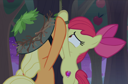Size: 1423x938 | Tagged: safe, screencap, character:apple bloom, character:applejack, episode:going to seed, g4, my little pony: friendship is magic, apple sisters, clothing, cropped, duo, hat, rear view, siblings, sisters, tied up