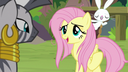 Size: 1920x1080 | Tagged: safe, screencap, character:angel bunny, character:fluttershy, character:zecora, species:pegasus, species:pony, species:rabbit, species:zebra, episode:she talks to angel, g4, my little pony: friendship is magic, animal, ear piercing, earring, eyes closed, female, jewelry, male, mare, messy mane, neck rings, piercing, raised hoof