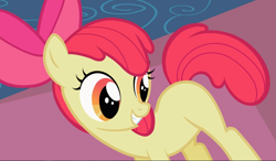 Size: 1605x939 | Tagged: safe, screencap, character:apple bloom, species:earth pony, species:pony, episode:the cutie pox, g4, my little pony: friendship is magic, blank flank, cropped, smiling, solo