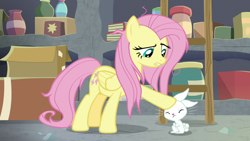 Size: 1920x1080 | Tagged: safe, screencap, character:angel bunny, character:fluttershy, species:pegasus, species:pony, species:rabbit, episode:she talks to angel, g4, my little pony: friendship is magic, angel is not amused, animal, duo, eyes closed, female, fluttershy is not amused, folded wings, frown, male, mare, messy mane, messy tail, pet, petting, raised eyebrow, tired, unamused, wings