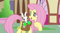 Size: 1920x1080 | Tagged: safe, screencap, character:angel bunny, character:fluttershy, species:pony, species:rabbit, episode:she talks to angel, g4, my little pony: friendship is magic, animal, bag, bottle, duo, female, male, mare, messy mane, ponyville, potion, raised hoof, saddle bag