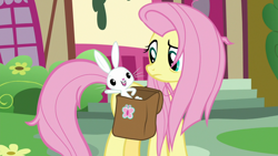 Size: 1920x1080 | Tagged: safe, screencap, character:angel bunny, character:fluttershy, species:pony, species:rabbit, episode:she talks to angel, g4, my little pony: friendship is magic, animal, bag, duo, female, male, mare, messy mane, ponyville, saddle bag