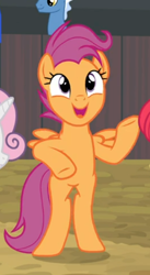 Size: 342x622 | Tagged: safe, screencap, character:scootaloo, species:pegasus, species:pony, episode:growing up is hard to do, g4, my little pony: friendship is magic, bipedal, cropped, older, older scootaloo, open mouth, smiling, solo