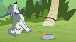 Size: 1920x1080 | Tagged: safe, screencap, species:wolf, episode:she talks to angel, g4, my little pony: friendship is magic, carrot, collar, eyes closed, food, food bowl, gritted teeth, leash, pulling, sandra, straining, struggling