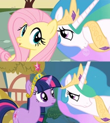 Size: 1920x2160 | Tagged: safe, screencap, character:fluttershy, character:princess celestia, character:twilight sparkle, episode:a bird in the hoof, episode:keep calm and flutter on, g4, my little pony: friendship is magic, big crown thingy, element of magic