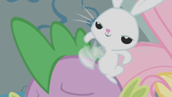 Size: 1280x720 | Tagged: safe, screencap, character:angel bunny, character:fluttershy, character:spike, episode:dragonshy, g4, my little pony: friendship is magic, angel is a bunny bastard, spikeabuse