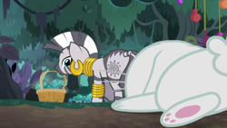 Size: 1920x1080 | Tagged: safe, screencap, character:angel bunny, character:fluttershy, character:zecora, species:pony, species:rabbit, species:zebra, episode:she talks to angel, g4, my little pony: friendship is magic, animal, basket, body swap, ear piercing, earring, everfree forest, female, jewelry, leg rings, male, mare, mohawk, mushroom, neck rings, not angel bunny, notice, paw pads, piercing, tail wrap