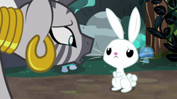 Size: 1920x1080 | Tagged: safe, screencap, character:angel bunny, character:fluttershy, character:zecora, species:pony, species:rabbit, species:zebra, episode:she talks to angel, g4, my little pony: friendship is magic, animal, body swap, duo, ear piercing, earring, female, jewelry, male, mare, mushroom, neck rings, piercing