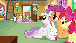 Size: 1280x720 | Tagged: safe, screencap, character:angel bunny, character:apple bloom, character:gummy, character:opalescence, character:owlowiscious, character:scootaloo, character:spike, character:sweetie belle, character:tank, character:winona, species:pegasus, species:pony, episode:just for sidekicks, g4, my little pony: friendship is magic, clubhouse, crusaders clubhouse, cutie mark crusaders