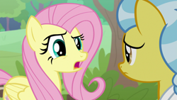 Size: 1920x1080 | Tagged: safe, screencap, character:angel bunny, character:doctor fauna, character:fluttershy, species:pegasus, species:pony, episode:she talks to angel, g4, my little pony: friendship is magic, body swap, duo, female, mare
