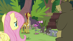 Size: 1920x1080 | Tagged: safe, screencap, character:angel bunny, character:clementine, character:fluttershy, character:harry, species:bird, species:pegasus, species:pony, episode:she talks to angel, g4, my little pony: friendship is magic, asking for help, bear, body swap, cloven hooves, crossed arms, displeased, eyes closed, female, flamingo, folded wings, giraffe, koala, looking away, male, mare, mates, not fluttershy, raccoon, rejection, scout (flamingo), smoky, smoky jr., softpad, sweet feather sanctuary
