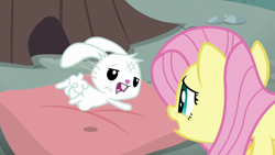 Size: 1920x1080 | Tagged: safe, screencap, character:angel bunny, character:fluttershy, species:pony, species:rabbit, episode:she talks to angel, g4, my little pony: friendship is magic, animal, body swap, bruised, duo, female, jumping, male, mare, open mouth, pillow