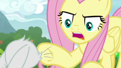 Size: 1920x1080 | Tagged: safe, screencap, character:angel bunny, character:fluttershy, species:pegasus, species:pony, episode:she talks to angel, g4, my little pony: friendship is magic, angry, animation error, body swap, female, mare, pointing