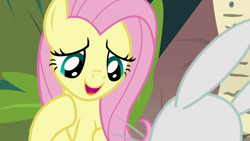 Size: 1920x1080 | Tagged: safe, screencap, character:angel bunny, character:fluttershy, species:pegasus, species:pony, species:rabbit, episode:she talks to angel, g4, my little pony: friendship is magic, animal, cute, duo, female, hoof on chest, looking at each other, looking down, mare, master and pet, raised hoof, reconciliation, shyabetes, smiling, solo focus, talking, whiskers