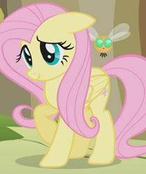 Size: 872x1042 | Tagged: safe, screencap, character:fluttershy, species:pegasus, species:pony, episode:swarm of the century, g4, my little pony: friendship is magic, cropped, eyelashes, parasprite, raised hoof, smiling, solo