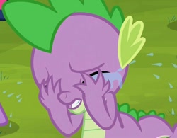 Size: 918x715 | Tagged: safe, screencap, character:spike, episode:it ain't easy being breezies, g4, my little pony: friendship is magic, crying