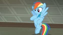 Size: 1920x1080 | Tagged: safe, screencap, character:rainbow dash, species:pegasus, species:pony, episode:the saddle row review, g4, my little pony: friendship is magic, solo