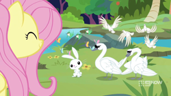 Size: 1280x720 | Tagged: safe, screencap, character:angel bunny, character:fluttershy, species:bird, species:pegasus, species:pony, episode:memnagerie, 9now, smiling, swan