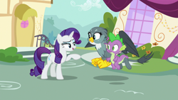 Size: 1920x1080 | Tagged: safe, screencap, character:gabby, character:rarity, character:spike, episode:dragon dropped, g4, my little pony: friendship is magic