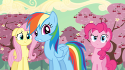 Size: 1920x1080 | Tagged: safe, screencap, character:fluttershy, character:pinkie pie, character:rainbow dash, species:earth pony, species:pegasus, species:pony, episode:the last roundup, g4, my little pony: friendship is magic, cherry tree, tree