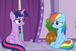 Size: 1030x692 | Tagged: safe, screencap, character:rainbow dash, character:twilight sparkle, character:twilight sparkle (alicorn), species:alicorn, species:pony, episode:deep tissue memories, cropped, duo, looking at each other, sitting, smiling, stare