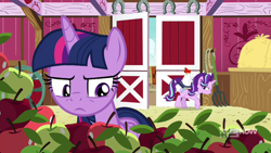 Size: 1280x720 | Tagged: safe, screencap, character:starlight glimmer, character:twilight sparkle, character:twilight sparkle (alicorn), species:alicorn, species:bird, species:chicken, species:pony, episode:harvesting memories, apple, barn, book, food, hay bale, pitchfork