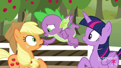 Size: 1280x720 | Tagged: safe, screencap, character:applejack, character:spike, character:twilight sparkle, character:twilight sparkle (alicorn), species:alicorn, species:dragon, species:earth pony, species:pony, episode:harvesting memories, apple, apple tree, boop, female, fence, male, mare, sweet apple acres, tree, winged spike