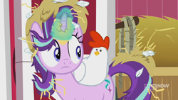 Size: 1280x720 | Tagged: safe, screencap, character:starlight glimmer, species:bird, species:chicken, species:pony, species:unicorn, episode:harvesting memories, hay, looking at each other, magic, sweet apple acres, sweet apple acres barn